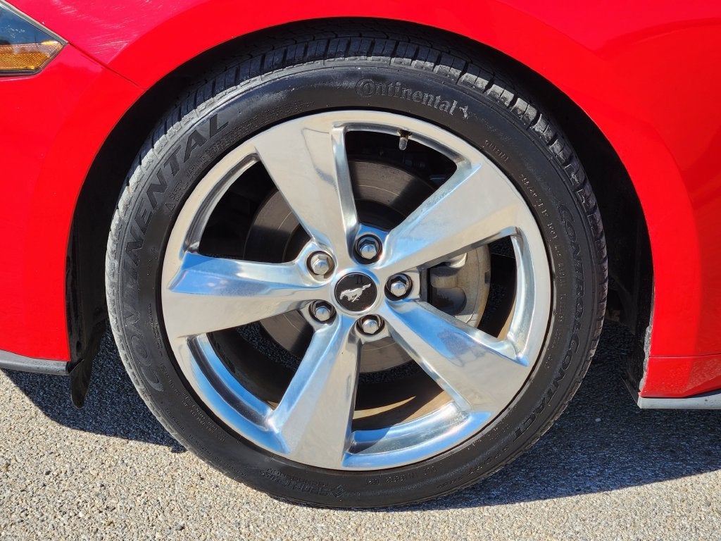 2019 Ford Mustang EcoBoost