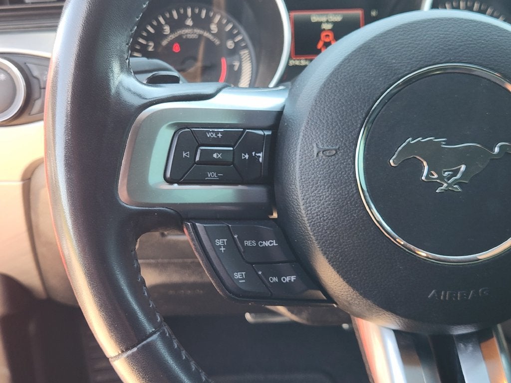 2019 Ford Mustang EcoBoost