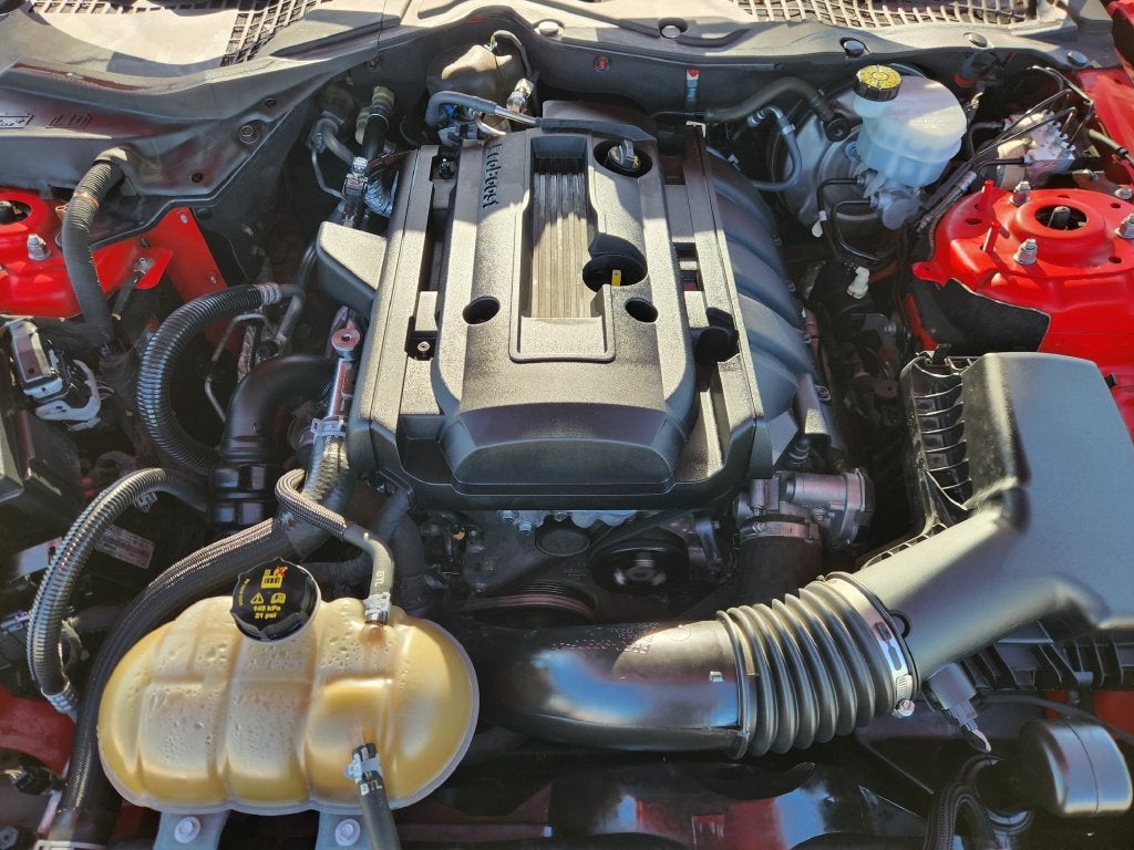 2019 Ford Mustang EcoBoost
