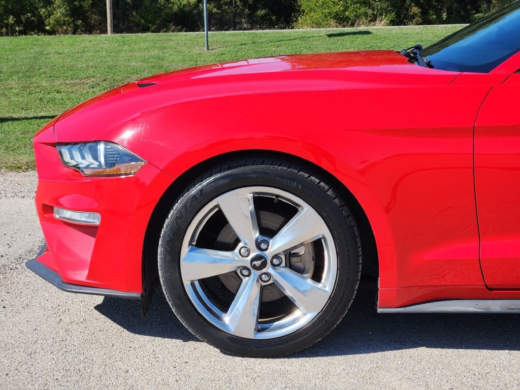 2019 Ford Mustang EcoBoost