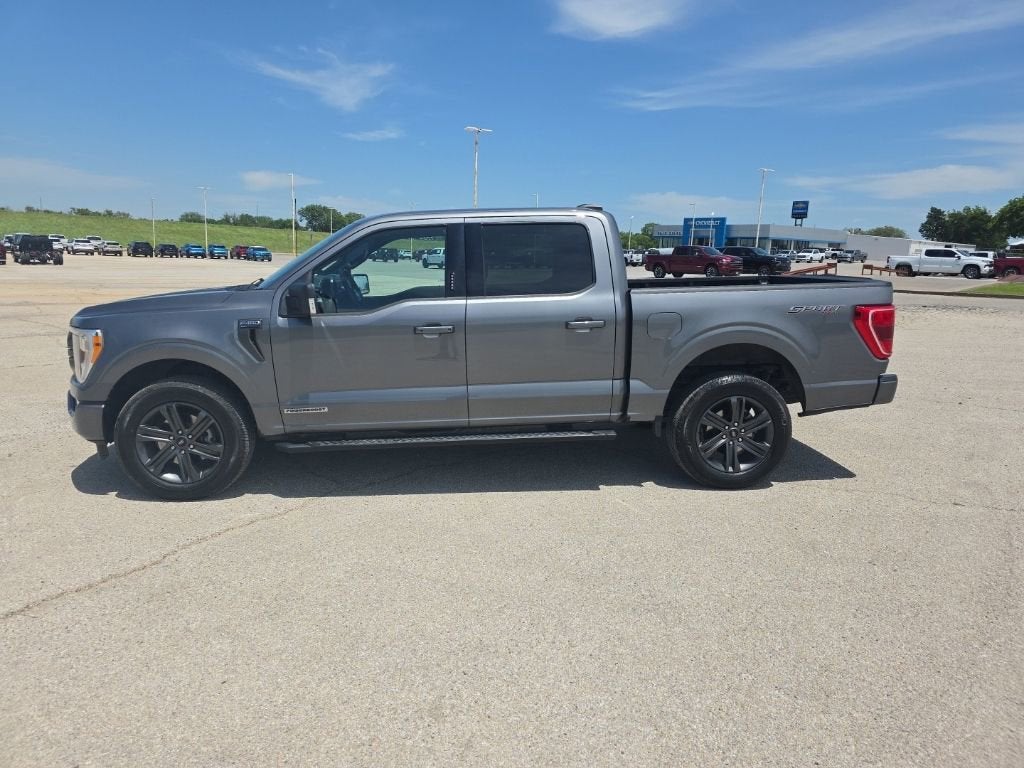 2023 Ford F-150 XL